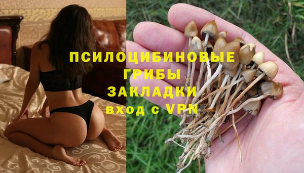 прущие крисы Абдулино