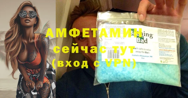 индика Михайловка