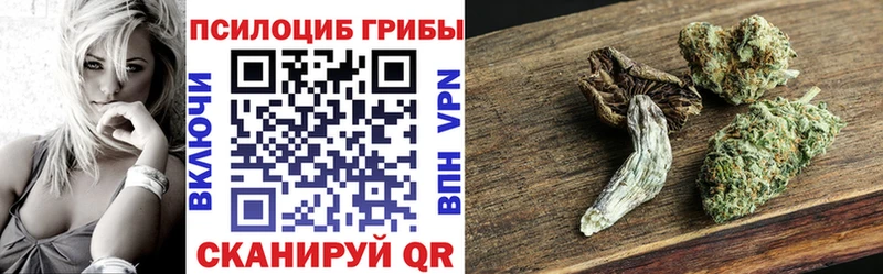 Галлюциногенные грибы мухоморы  купить закладку  Отрадная 